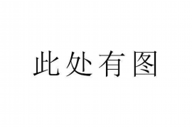 京山专业讨债公司有哪些核心服务？